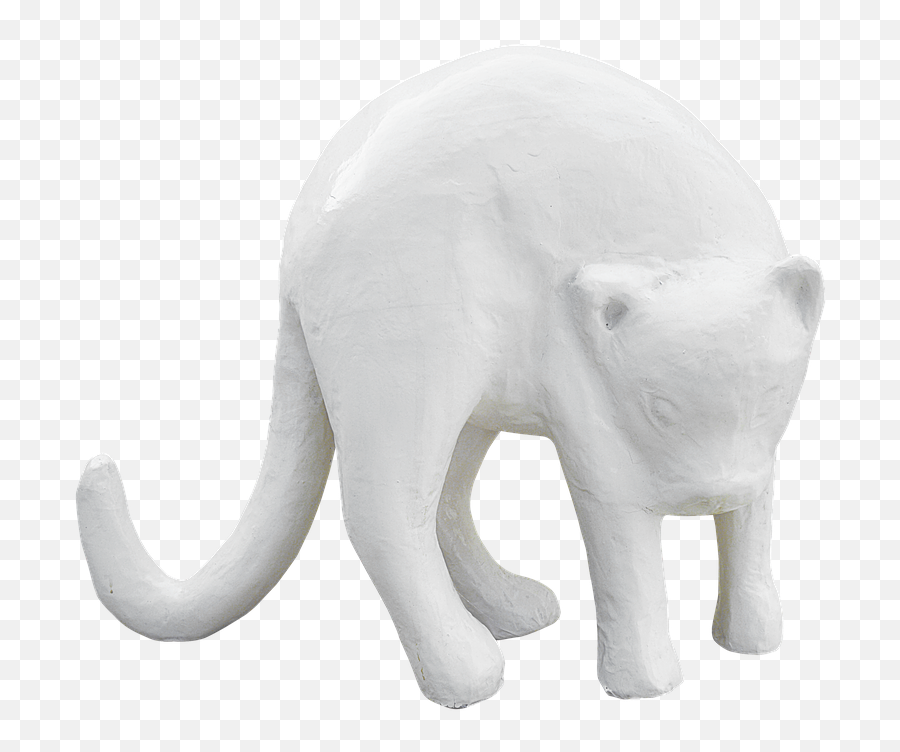 Pngcatplasterwhite Catwhite Color - Free Image From Animal Figure Png,White Cat Png