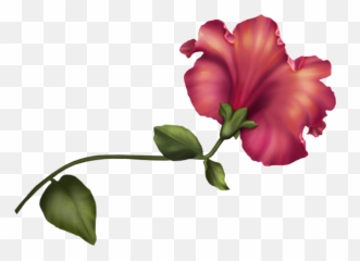 Flowers Watercolor Clip 1342 Art - Vintage Clipart Png