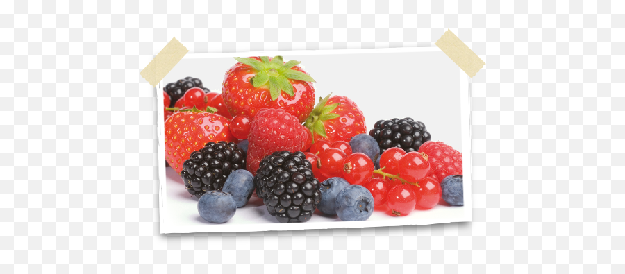 Bob Best Of Berries - Blackberry Png,Blackberries Png