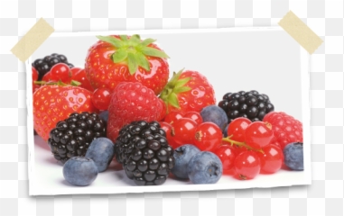 Bob Best Of Berries - Blackberry Png,Blackberries Png