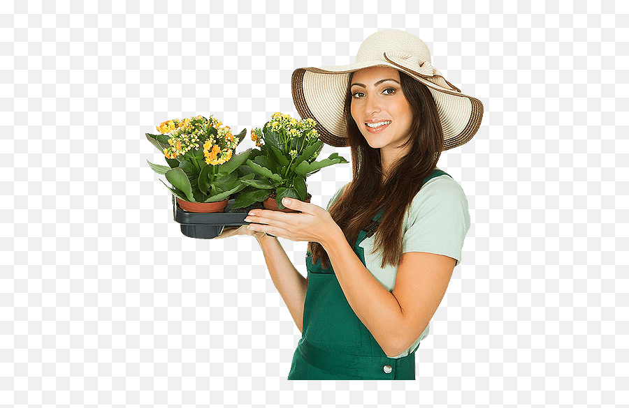Solo - Flowerpot Png,Gardener Png