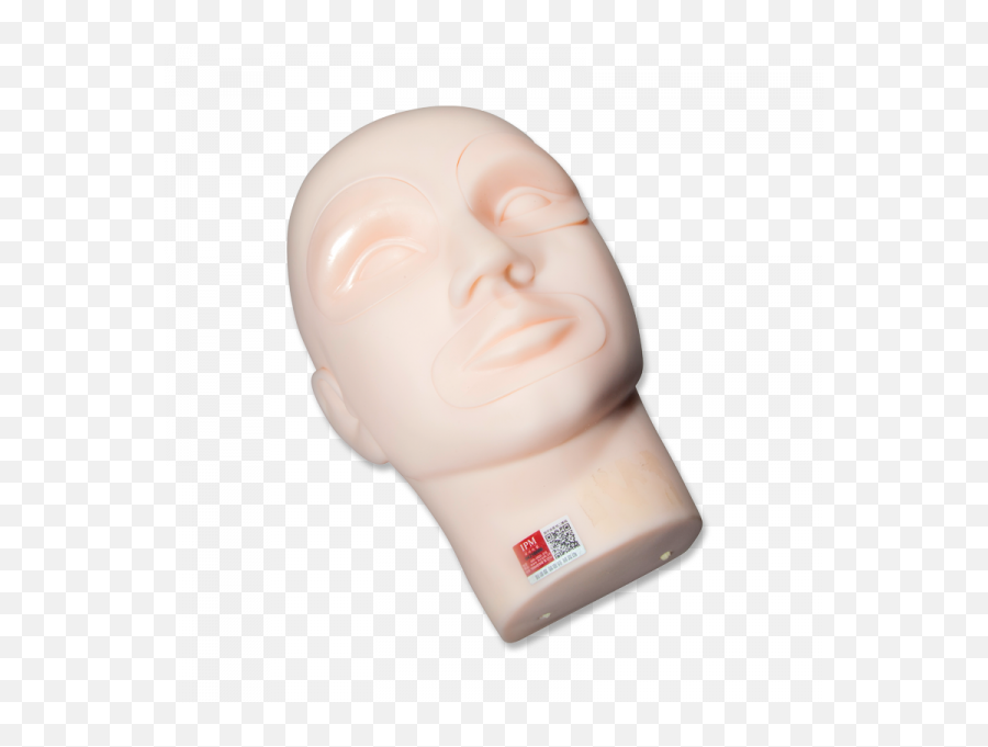 Download Practice Mannequin Head With - Portable Network Graphics Png,Mannequin Head Png