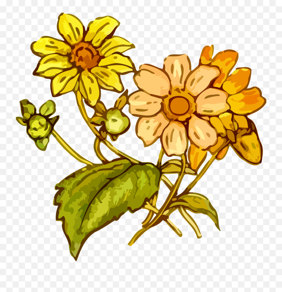 Download Wildflowers Drawing The Best 2 - Yellow Flower Cretaceous Plants Line Art Png,Wildflowers Png