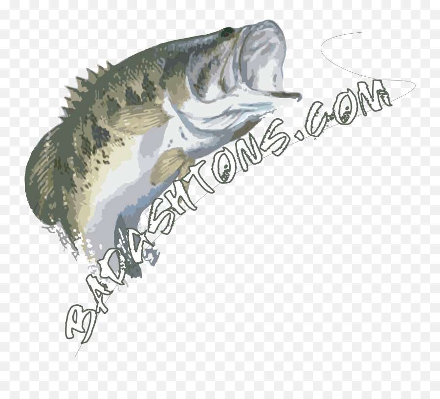 Download How Water Temperatures Affect Largemouth Bass - Bass Png,Largemouth Bass Png