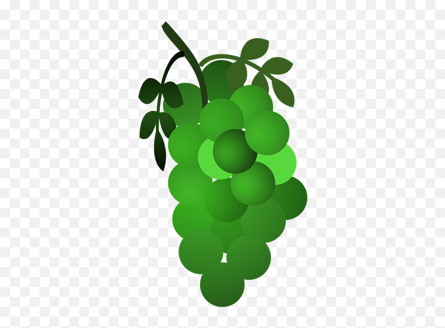 Grapes Icon - Diamond Png,Grapes Icon