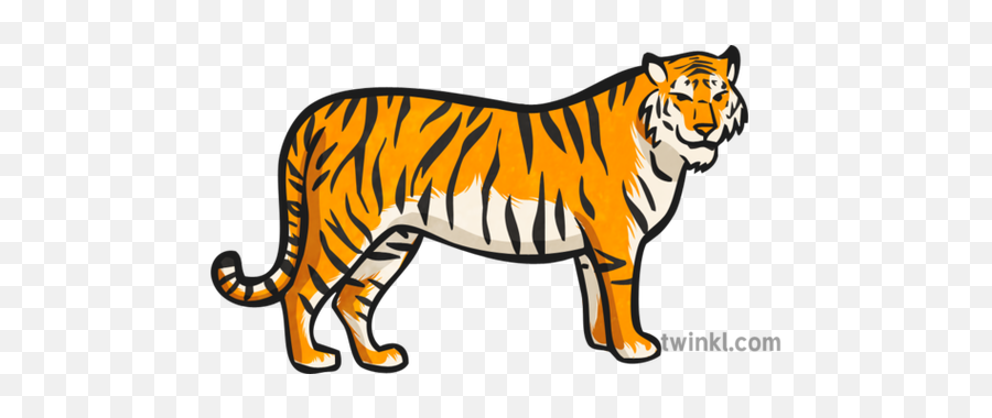 Tiger Zoo Map Icon Ilustração - Twinkl Animal Figure Png,Bengal Tiger Icon