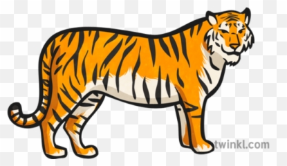 Tiger Zoo Map Icon Ilustração - Twinkl Animal Figure Png,Bengal Tiger Icon