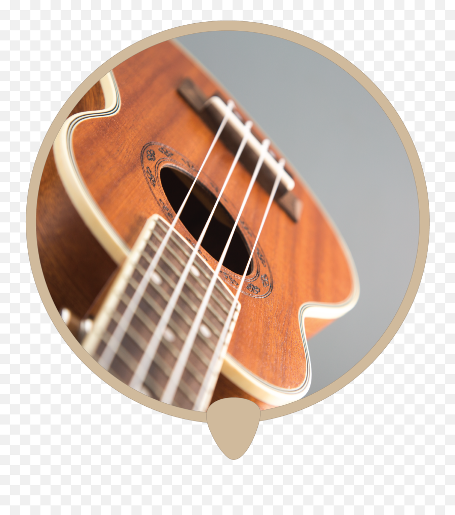 Ukulele Hole Icon - Solid Png,Ukulele Icon