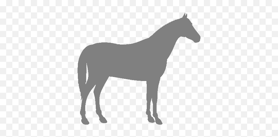 Jutland Horse - Horse Grey Icon Transparent Png,White Horse Icon