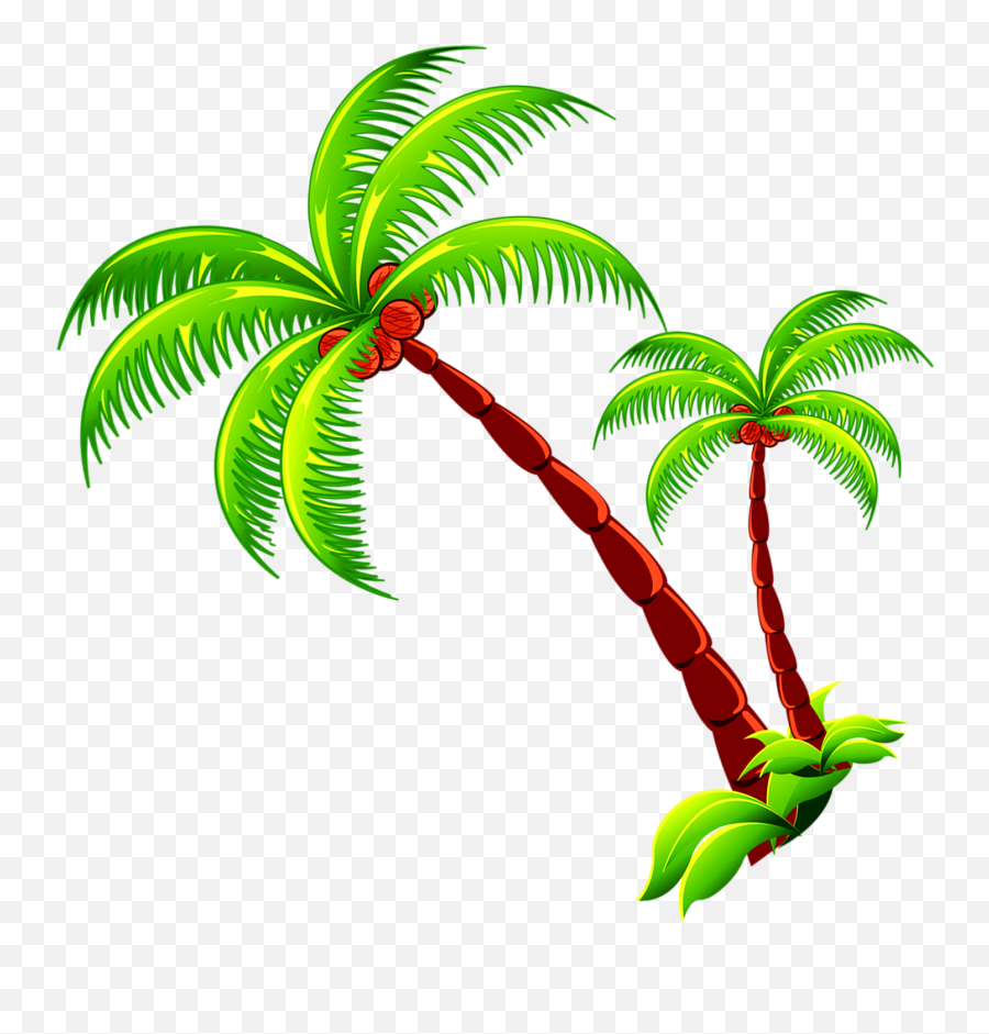 Coconut Tree Branch Free Photo Png - Vector Cartoon Coconut Tree,Palm Tree  Clip Art Png - free transparent png images 