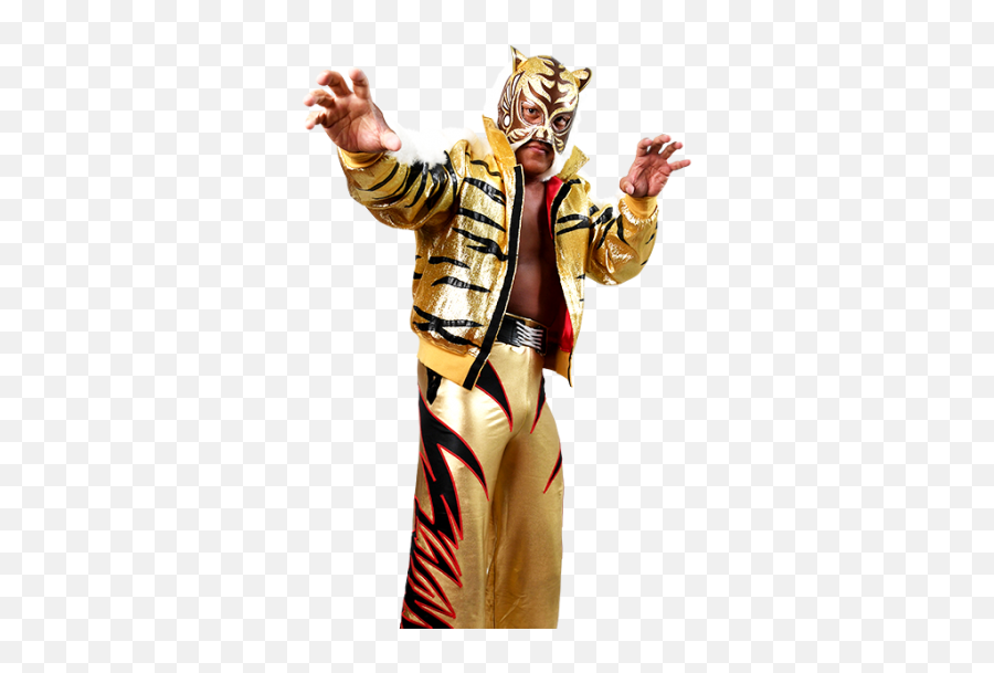 Tiger Mask U2013 New Japan Pro - Wrestling Tiger Mask Wrestler Png,Pro Wrestling Icon