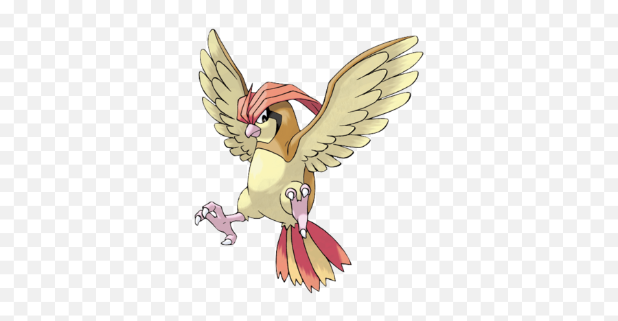 Pidgeotto Location Learnset And Evolution Pokemon - Pidgeotto Pokemon Png,Pidge Icon