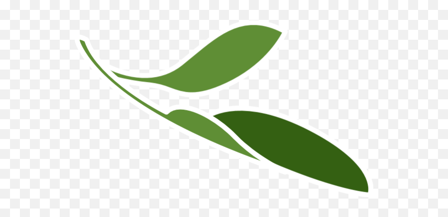 Free Online Leaves Plant Leaf Cartoon Vector For - Language Png,Tree Leaf Icon