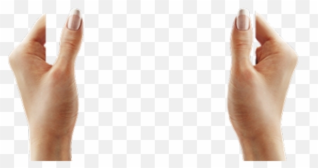 Hands Holding Sign Png Picture - Human