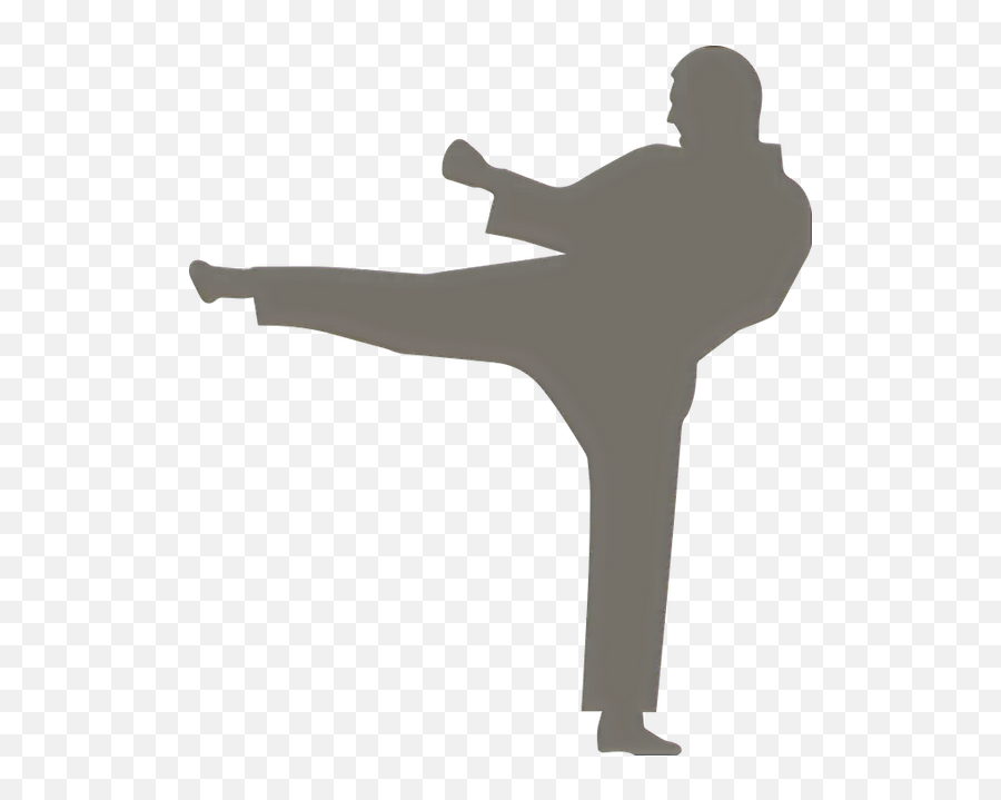 Brown Belt Three Stripes - 1st Kyu Seikenryu Karate Icon Circle Png,Karate Belt Icon