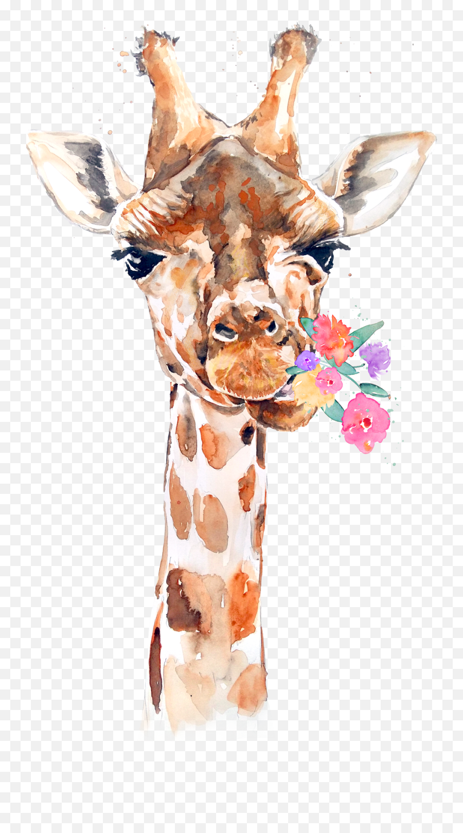 Giraffe Cute Iphone Wallpapers - Top Free Giraffe Cute Png,Cute Icon Wallpapers