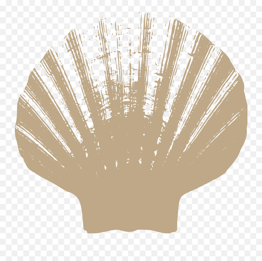 Shell U2014 Treasures Png Icon Instrumental