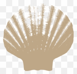Shell U2014 Treasures Png Icon Instrumental
