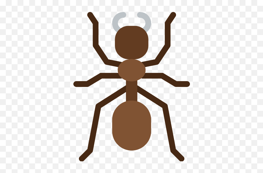 Ant Png Icon - Ant Flat Icon,Ant Png
