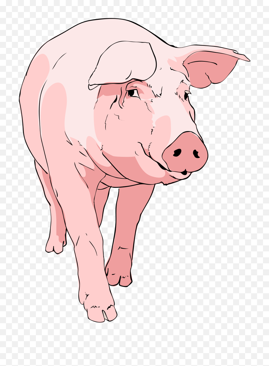 Pig Clipart 01 - Clipart Pig Png,Pig Png