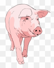 Pig Clipart 01 - png