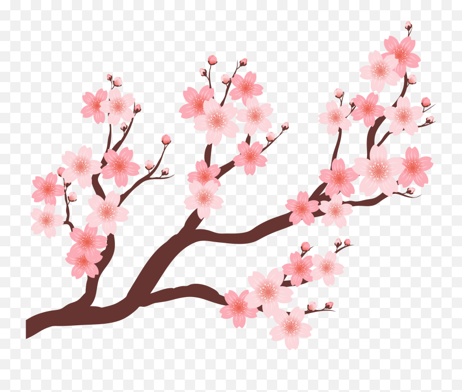Cherry Beautiful Tree - Baju Setelan Ethica Terbaru 2019 Vector Cherry Blossom Tree Png,Cherry Blossom Tree Png