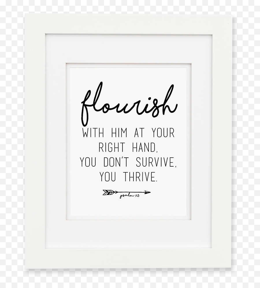 Buy Flourish From Cleerely Stated - Calligraphy Png,Flourish Png