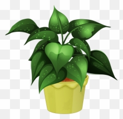 Plant Clipart House - Potted Png