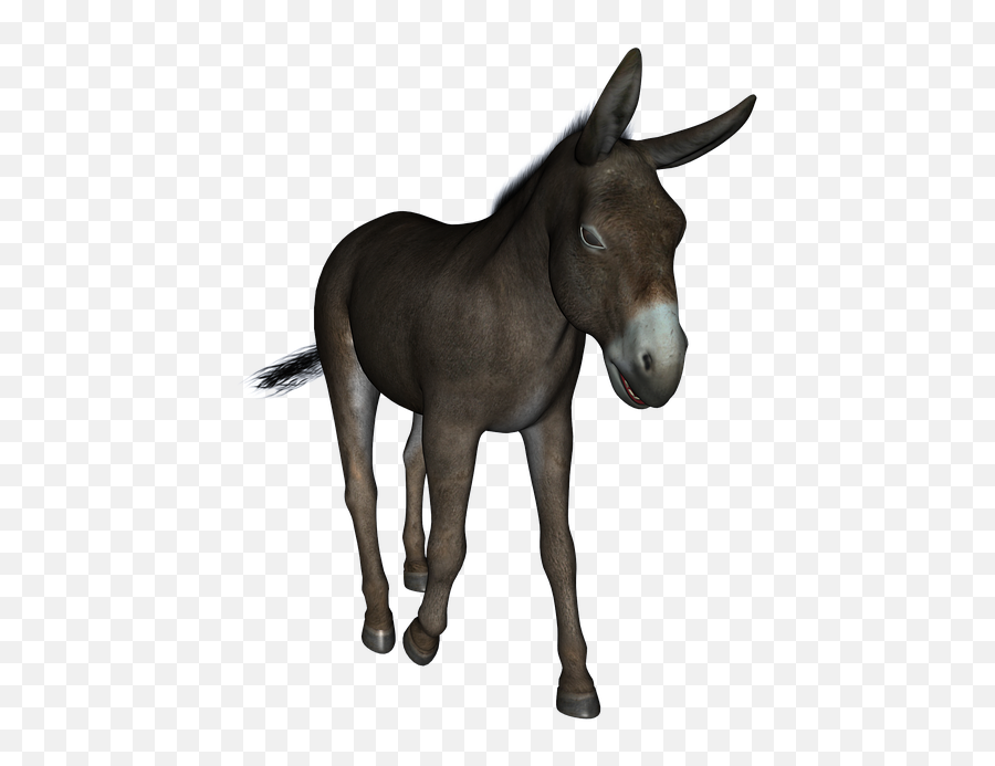 Donkey - Freepngtransparentbackgroundimagesfreedownload Burro Jogo Do Bicho Png,Donkey Png