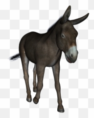 Donkey - Freepngtransparentbackgroundimagesfreedownload Burro Jogo Do Bicho Png,Donkey Png