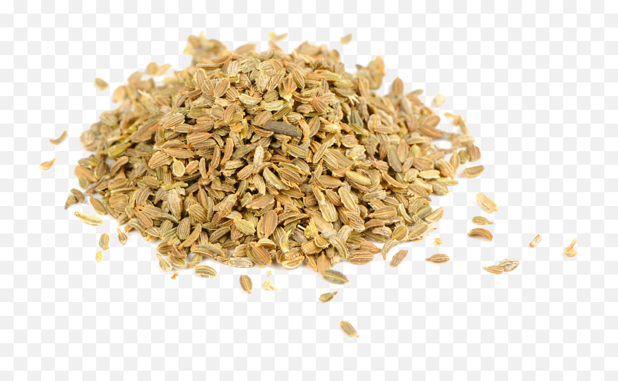 Oat Bran Png High - Carrot Seed And Carrot,Oats Png