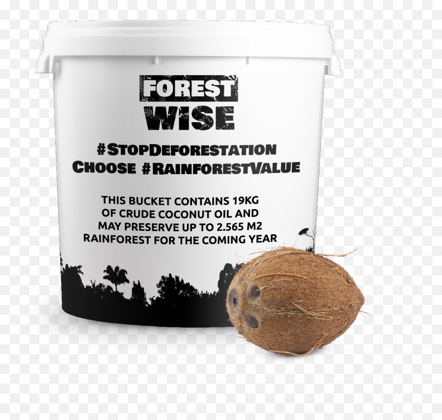 Forestwise - Shiitake Png,Coconuts Png