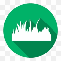 Endurant Home Lawn Blend - Grass Png,Dry Grass Png