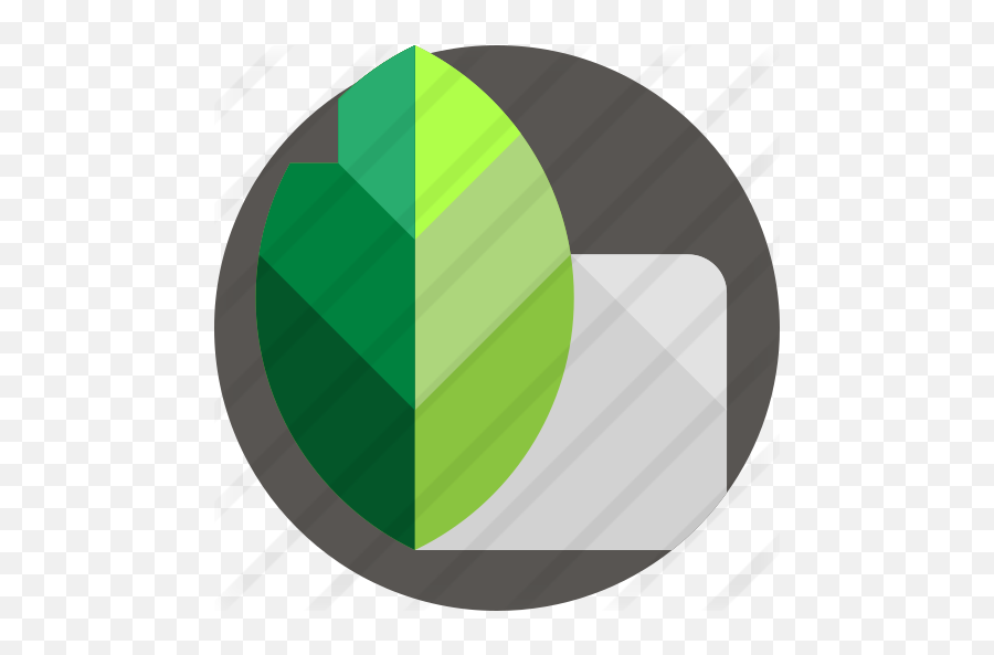 Snapseed - Icon Snapseed Logo Png,Social Media Icons Png