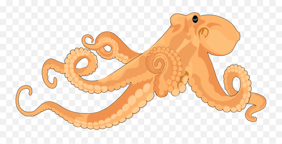 Octopus Images Image Png Clipart - Realistic Octopus Clipart,Octopus Png