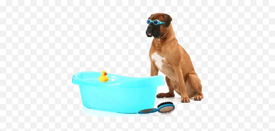 Dog Bath Png - Funny Dog Grooming Png,Bath Png
