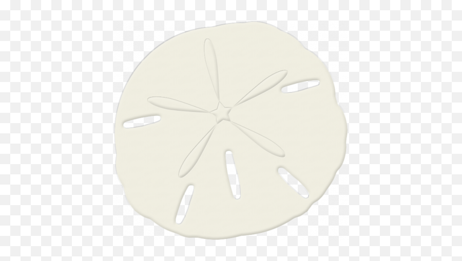 Sand Dollar 01 Graphic - Sand Dollar Png,Sand Dollar Png