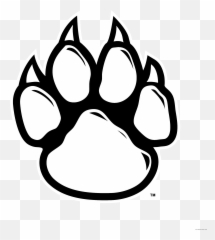 Leopard Clipart Paw Print - Tiger Drawing A png