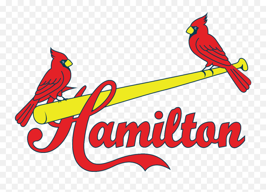 News U003e 2017 Award Winners Announced Hamilton Cardinals Rep - Northern Cardinal Png,Cardinal Baseball Logos