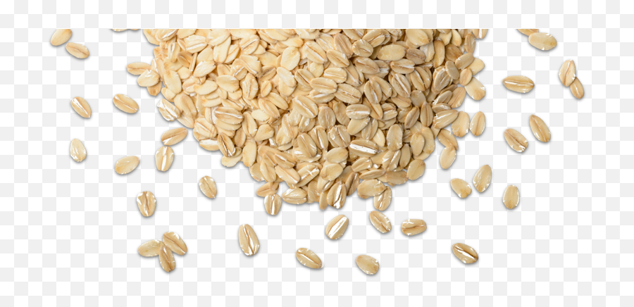 Download Picture Grain Png - Grains Png,Grains Png