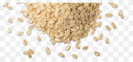 free transparent grains png images page 1 pngaaa com free transparent grains png images