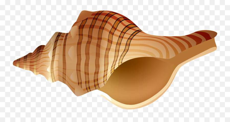 Shell Clipart Png - Shell Clipart Png,Seashell Clipart Png