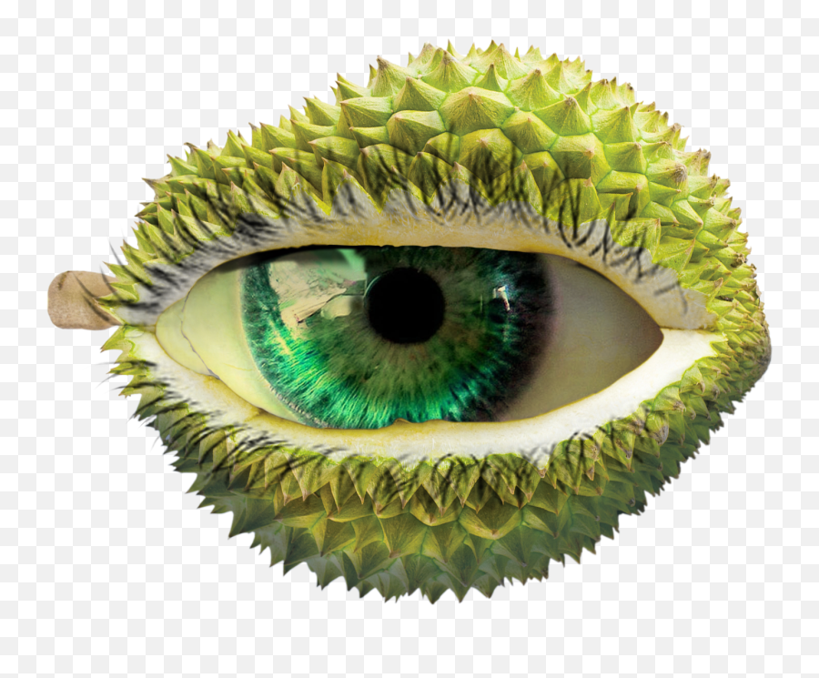 Durian Png Image With No Background - Eyelash Extensions,Durian Png