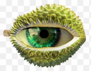 Durian Png Image With No Background - Eyelash Extensions,Durian Png