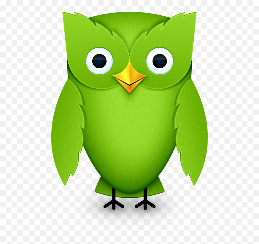 Duo - Duolingo Owl 2012 Png,Barn Owl Icon