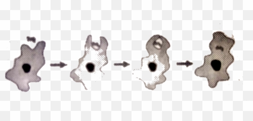 Img Srcu003dhttpsd10lpgp6xz60nqcloudfrontnetphysicsimages - Dot png