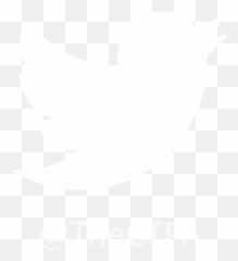 Ctpa - the Cosmetic Toiletry and Perfumery Association Twitter Blanc png