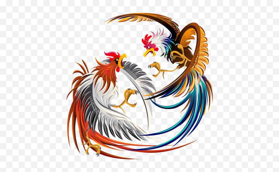 Cockfight Rooster Chicken Clip Art Png Fighting
