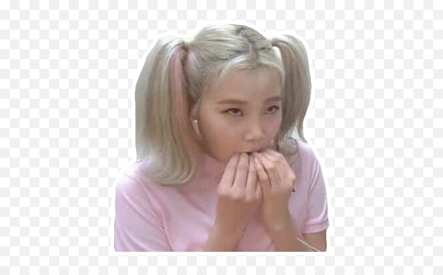 Momoland - The 1 Stickers Maker App For Iphone Momoland Jooe Meme Png,Kpop Icon Pack