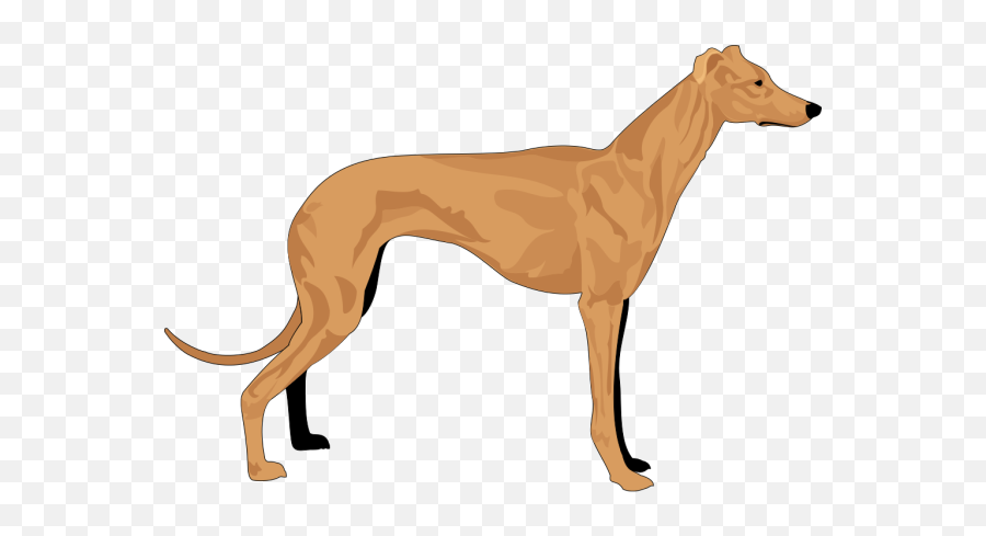 Grey Hound Png Svg Clip Art For Web - Download Clip Art Hound Clipart,Espanol Icon